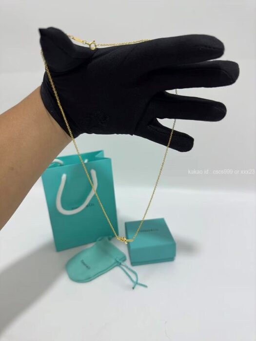 2025.11.13_[김ㅇㅇ 고객님 주문제품 검수사진] 티파니 목걸이 레플리카 미러급 SA급 S급 고퀄리티 하이엔드 최상급  2