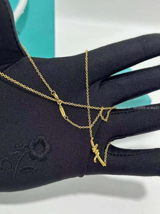 2025.11.13_[김ㅇㅇ 고객님 주문제품 검수사진] 티파니 목걸이 레플리카 미러급 SA급 S급 고퀄리티 하이엔드 최상급  5