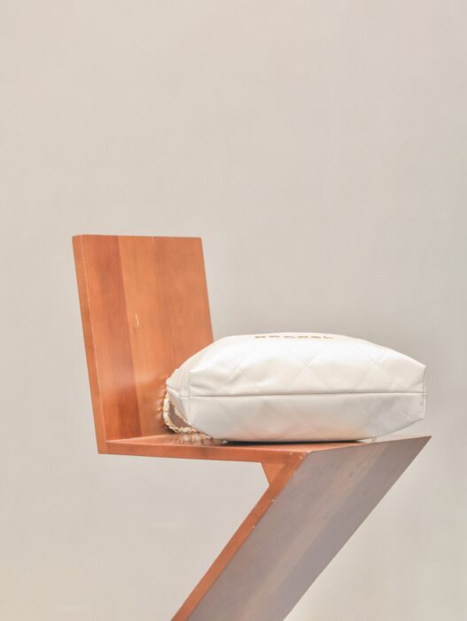 샤넬 금장 22백 화이트 이디엄 레플리카 미러급 SA급 S급 고퀄리티 최상급 하이엔드 가방 [여성] 5