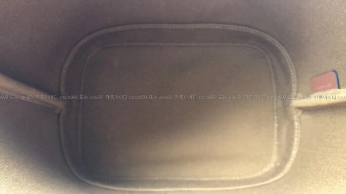 [최ㅇ선 고객님 검수] 셀린느 레플리카 가방 12