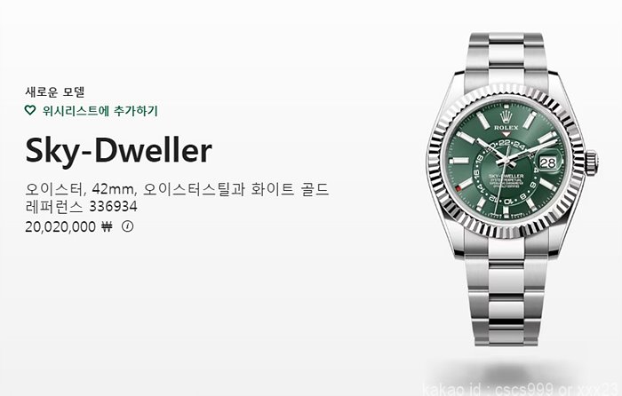 로렉스 스카이드웰러 그린다이얼 시계 레플리카 미러급 SA급 S급 고퀄리티 롤렉스 워치 23