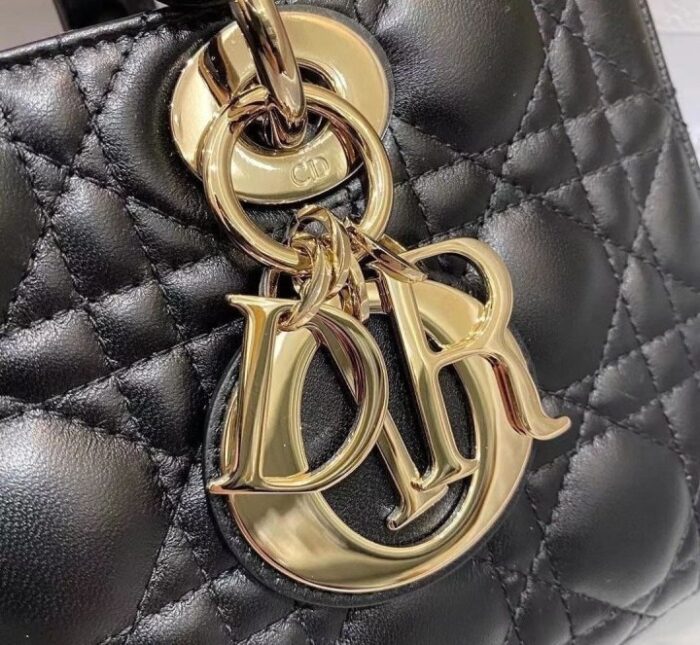 디올 레플리카 디조이백 스몰 미디움 지수백 6
