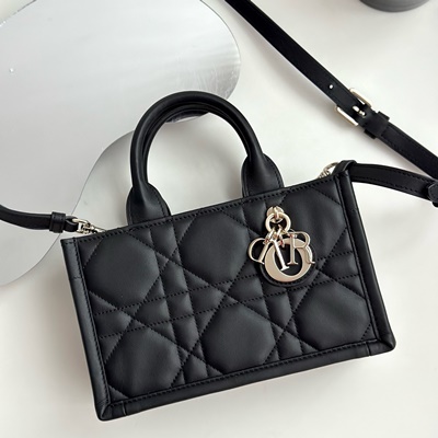 디올 북토트 미니 숄더백 (3 color) 레플리카 미러급 SA급 S급 고퀄리티 가방 크로스백 [여성] 최상급 하이엔드 - best