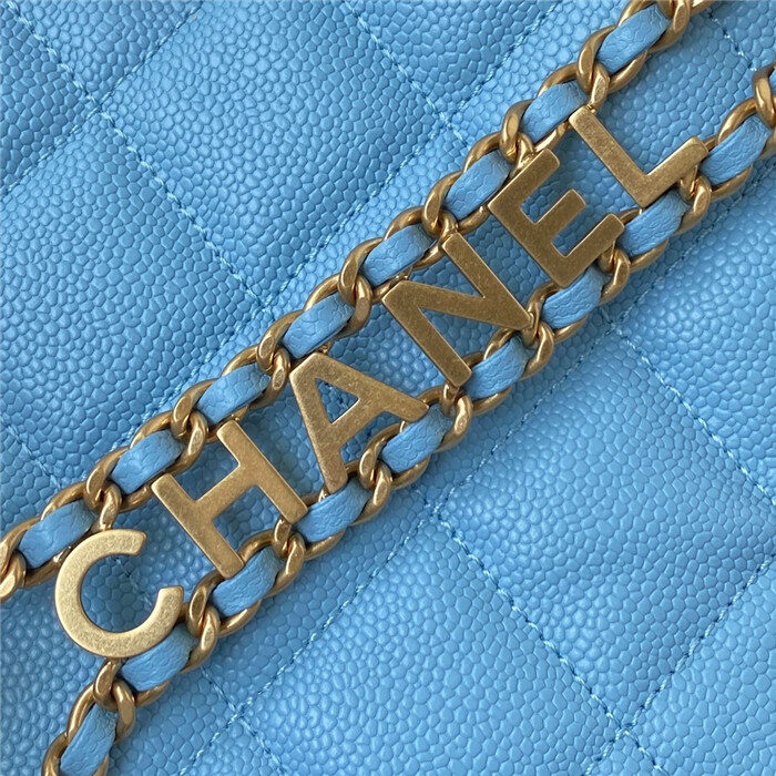 샤넬 레플리카 스몰 로고 케비어 호보백 AS3223 14