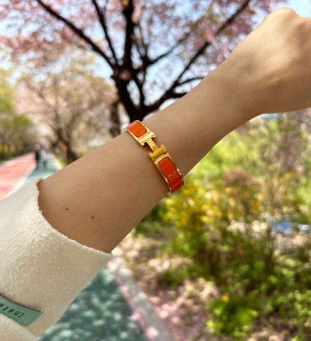 에르메스 클릭아슈 팔찌 (Multi-color) 레플리카 미러급 SA급 S급 고퀄리티 최상급 하이엔드 브레이슬릿 악세사리 [남성여성공용] 4