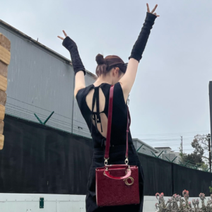 디올 레플리카 체리 레드 페이던트 까나쥬 레이디백 미디움