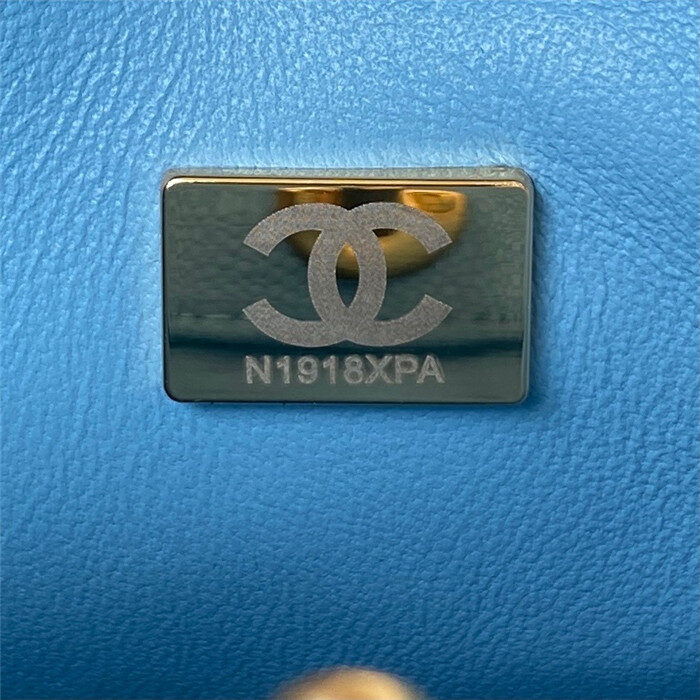 샤넬 레플리카 스몰 로고 케비어 호보백 AS3223 19