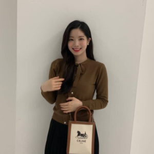 셀린느 레플리카 미니 버티컬 카바스백