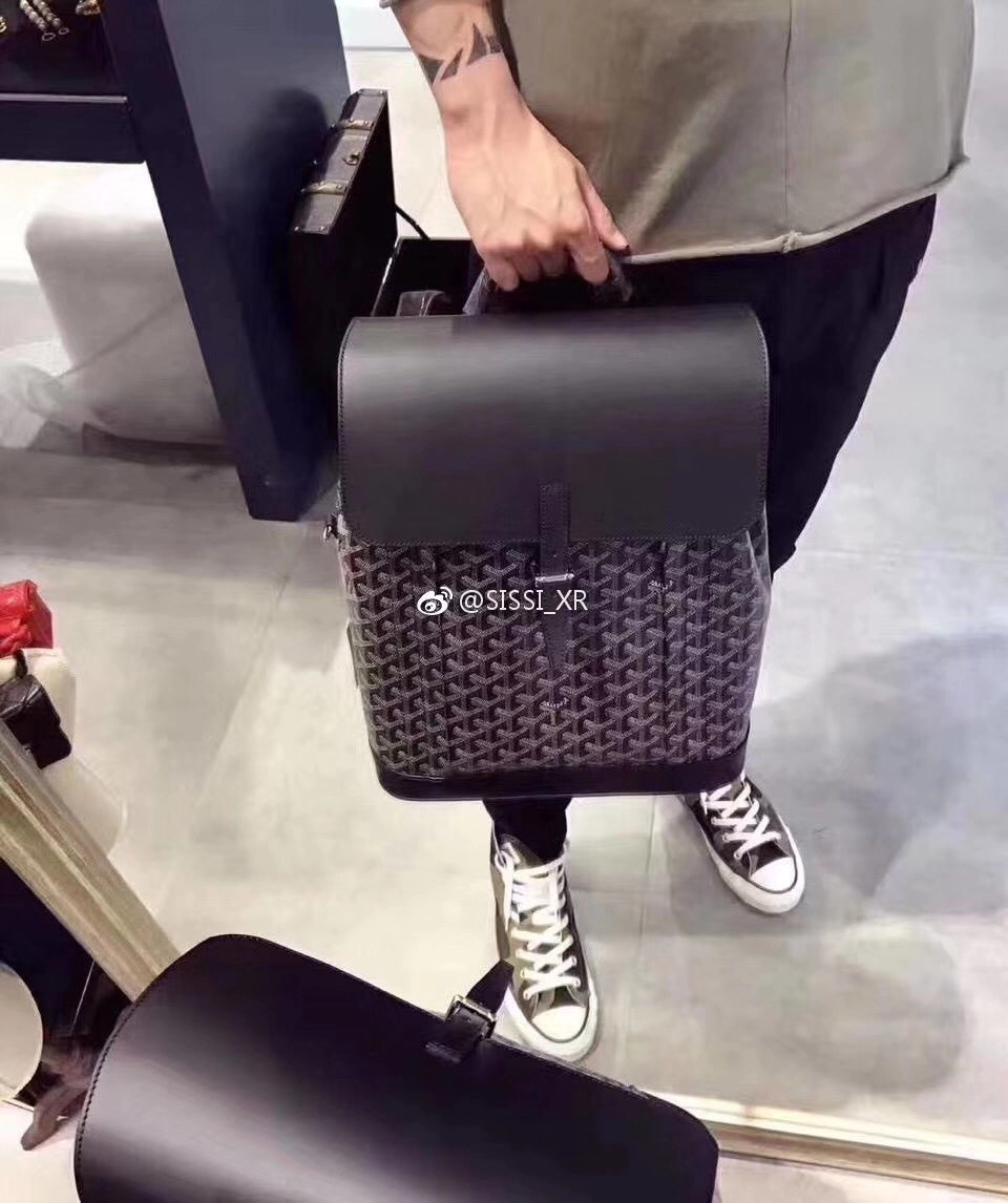 고야드 알핀 MM 백팩 (2COLOR) 레플리카 미러급 SA급 S급 고퀄리티 가방  [남성여성공용] 최상급 하이엔드 - best 3