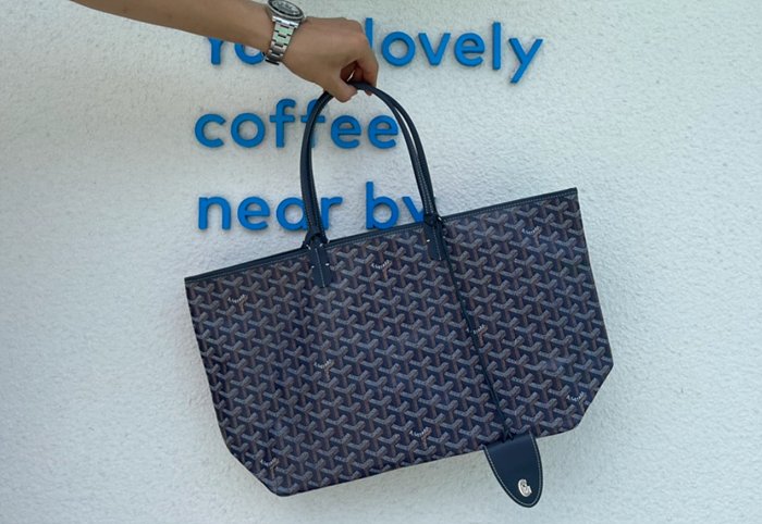 고야드 생루이백 PM (10COLOR) 레플리카 미러급 SA급 S급 고퀄리티 가방 토트백 [여성] 최상급 하이엔드 - best 46