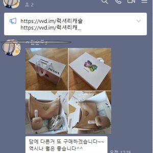 프라다 테수토 체인 스트랩 호보백 리에디션