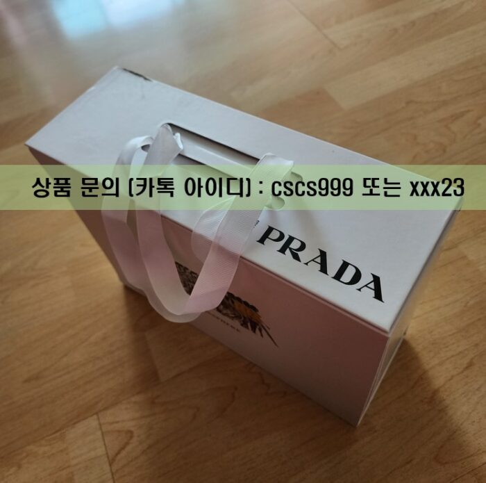 프라다 테수토 체인 스트랩 호보백 리에디션 2