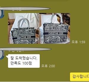 디올 레플리카 북토트백