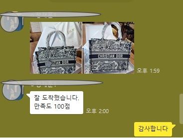디올 레플리카 북토트백