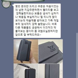 루이비통 LV 뉴 에어로그램 롱 윌릿 장지갑 클러치 LV-M69831