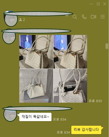 보테가베네타 파라슈트백 가방