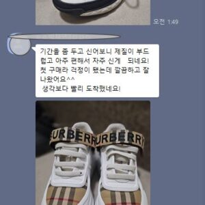 샤넬 스니커즈, 루이비통 스니커즈