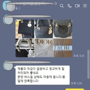 디올 가방