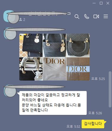 디올 가방