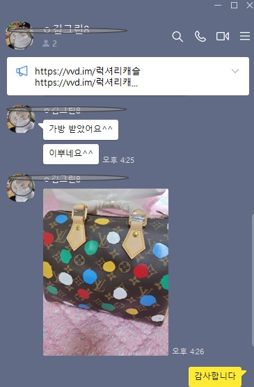 루이비통 백