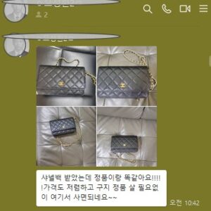샤넬 WOC 캐비어