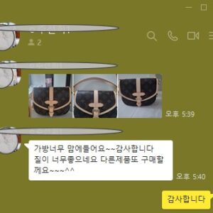 루이비통 소뮈르 BB 모노그램