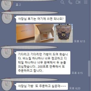 루이비통 숄더 겸 크로스백 카메라 박스