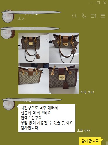 구찌 토트백 패들락 GG스몰