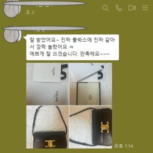 셀린느 트리오페 숄더백