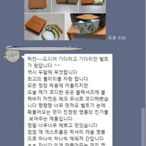 루이비통 자동벨트
