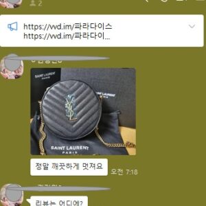 생로랑 레플리카 가방 라운드 백 (사이즈 : 17 x 17cm)