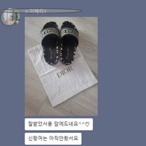 디올 슬리퍼