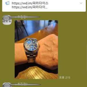 로렉스 스카이드월러 블루다이얼