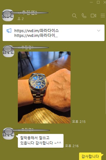 로렉스 스카이드월러 블루다이얼