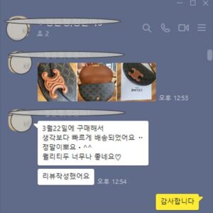 셀린느 핸드백 베사체