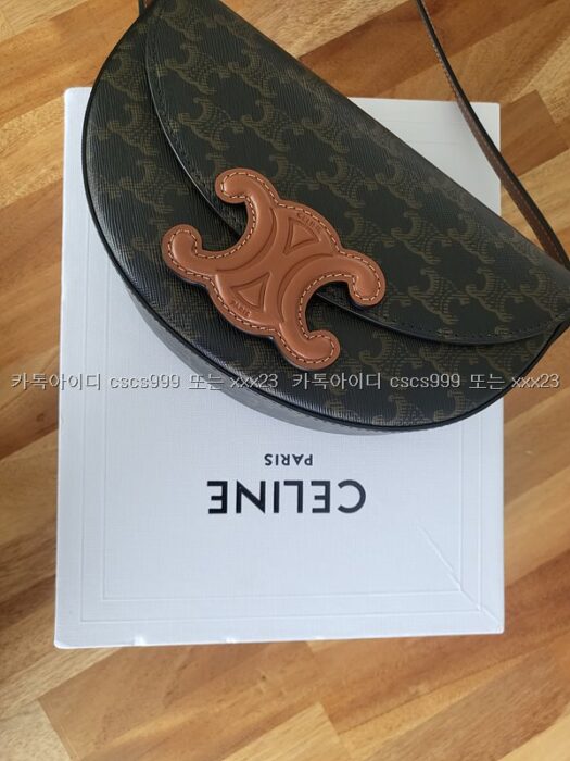 셀린느 핸드백 베사체 4