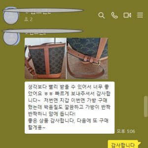 셀린느 버킷백 트리오페 캔버스