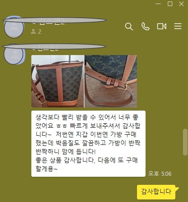 셀린느 버킷백 트리오페 캔버스