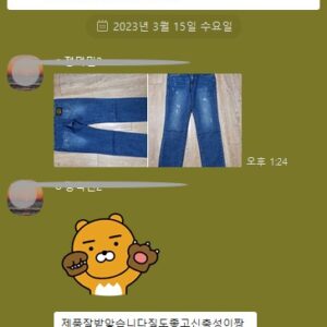 구찌 레플리카 데님 청바지 마몬트 패치 스크래치