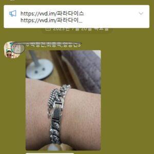 알*렉산더맥퀸 해골 925 실버팔찌