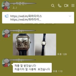까르띠에 산토스 뒤몽 실버다이얼