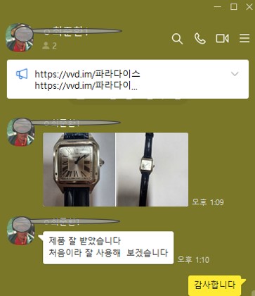 까르띠에 산토스 뒤몽 실버다이얼