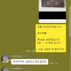 디올 미니 백