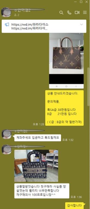 디올 미니 백