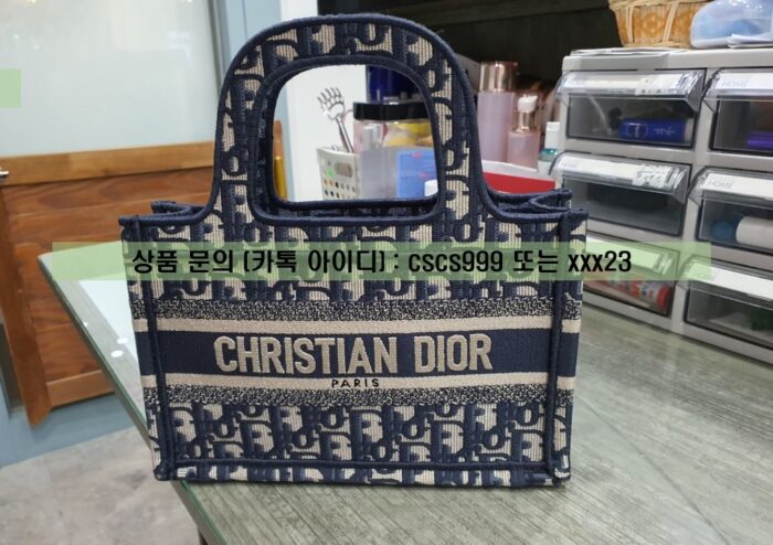 디올 미니 백 2