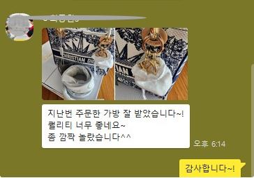 디올 레플리카 미디엄 토트백