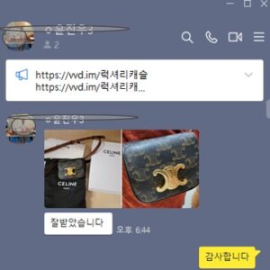 셀린느 트리오페 미니백