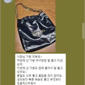 샤넬 22백