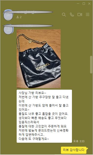 샤넬 22백