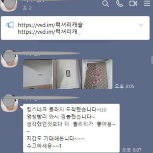 구찌 수프림 프린터 킹스네이크클러치